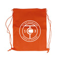 TC13 Schuhtasche
